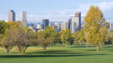 Denver Golf Courses: The Complete Guide to Every Course Worth Playing - Yatta Golf