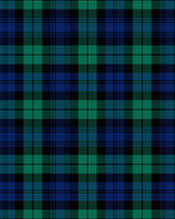 A repeating plaid pattern in dark blue, teal green, black, and thin white lines.